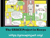 The GRACE Projects Magnets